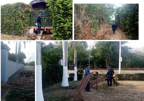 WhatsApp Image 2026-02-05 at 9.00.41 PM